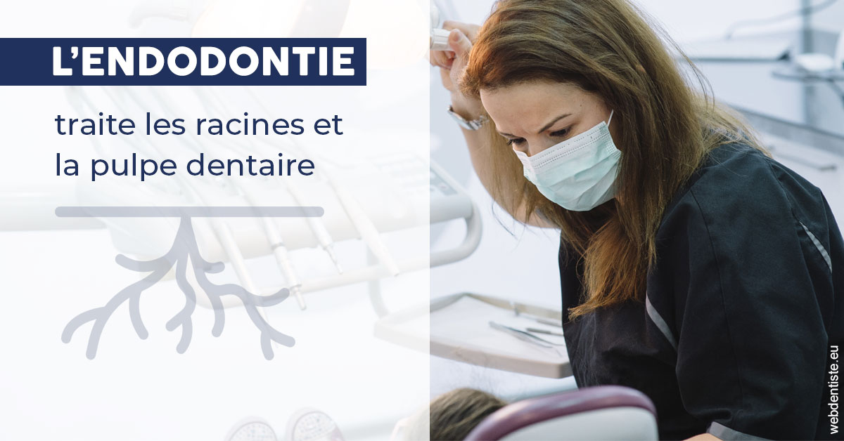 https://dr-marcais-yvick.chirurgiens-dentistes.fr/L'endodontie 1