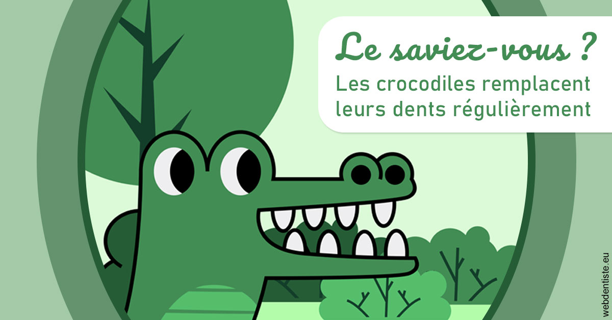 https://dr-marcais-yvick.chirurgiens-dentistes.fr/Crocodiles 2