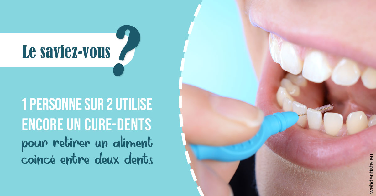 https://dr-marcais-yvick.chirurgiens-dentistes.fr/Cure-dents 1